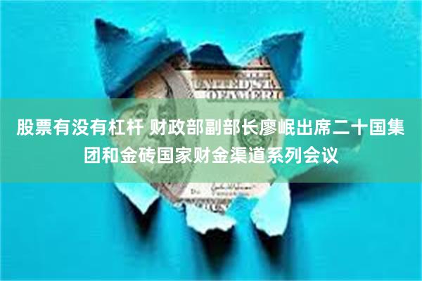 股票有没有杠杆 财政部副部长廖岷出席二十国集团和金砖国家财金渠道系列会议