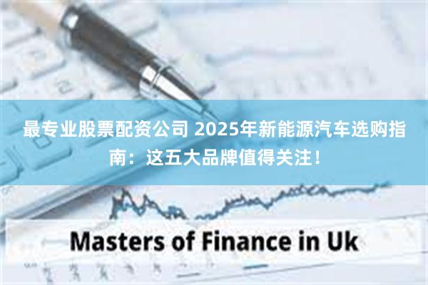 最专业股票配资公司 2025年新能源汽车选购指南：这五大品牌值得关注！