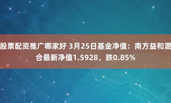 股票配资推广哪家好 3月25日基金净值：南方益和混合最新净值1.5928，跌0.85%