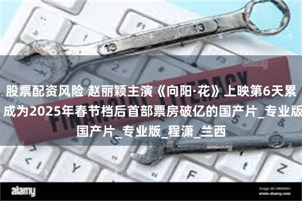 股票配资风险 赵丽颖主演《向阳·花》上映第6天累计票房破亿 成为2025年春节档后首部票房破亿的国产片_专业版_程潇_兰西