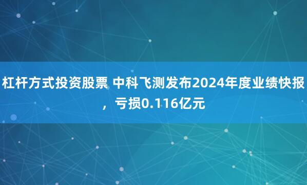 杠杆方式投资股票 中科飞测发布2024年度业绩快报，亏损0.116亿元