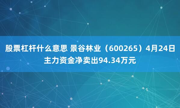 股票杠杆什么意思 景谷林业（600265）4月24日主力资金净卖出94.34万元