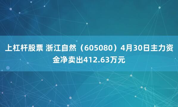 上杠杆股票 浙江自然（605080）4月30日主力资金净卖出412.63万元