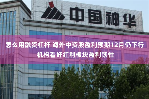 怎么用融资杠杆 海外中资股盈利预期12月仍下行 机构看好红利板块盈利韧性