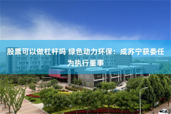股票可以做杠杆吗 绿色动力环保：成苏宁获委任为执行董事