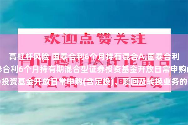 高杠杆风险 国泰合利6个月持有混合A,国泰合利6个月持有混合C: 国泰合利6个月持有期混合型证券投资基金开放日常申购(含定投)、赎回及转换业务的公告