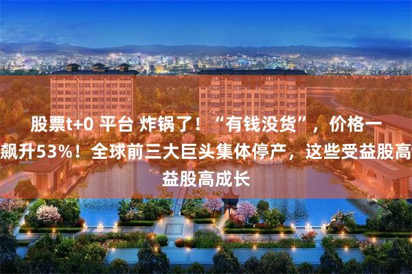 股票t+0 平台 炸锅了！“有钱没货”，价格一个月飙升53%！全球前三大巨头集体停产，这些受益股高成长