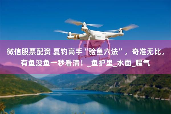 微信股票配资 夏钓高手“验鱼六法”，奇准无比，有鱼没鱼一秒看清！_鱼护里_水面_腥气