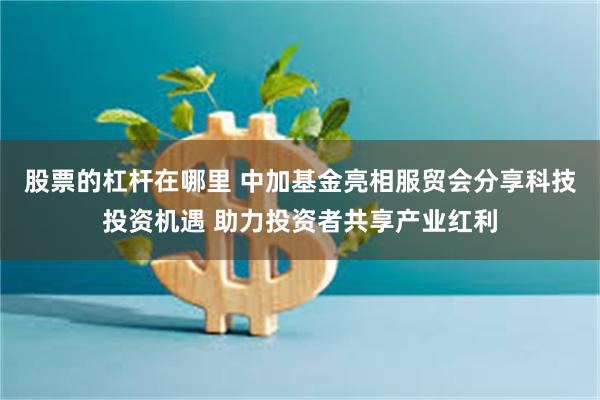 股票的杠杆在哪里 中加基金亮相服贸会分享科技投资机遇 助力投资者共享产业红利