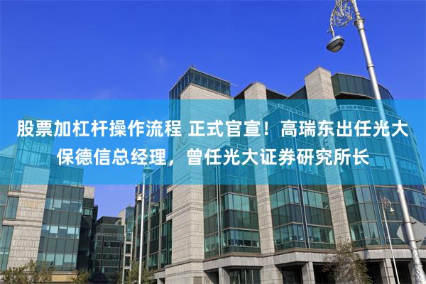 股票加杠杆操作流程 正式官宣！高瑞东出任光大保德信总经理，曾任光大证券研究所长