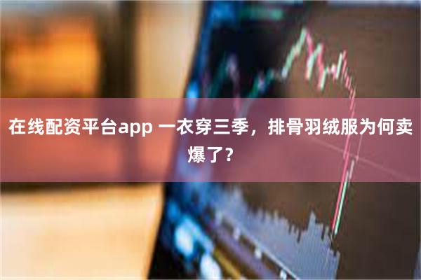在线配资平台app 一衣穿三季,排骨羽绒服为何卖爆了?