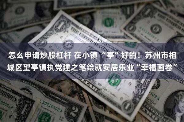 怎么申请炒股杠杆 在小镇 “亭”好的！苏州市相城区望亭镇执党建之笔绘就安居乐业“幸福画卷”