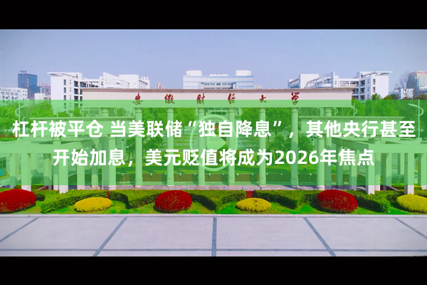 杠杆被平仓 当美联储“独自降息”，其他央行甚至开始加息，美元贬值将成为2026年焦点