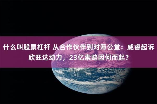 什么叫股票杠杆 从合作伙伴到对簿公堂：威睿起诉欣旺达动力，23亿索赔因何而起？
